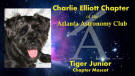 Tiger says: Click here to visit the Charlie Elliott Chapter of the Atlanta Astronomy Club!!!